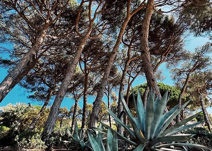 Appartamento Crazy 13 Summerland Mamaia